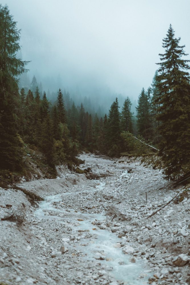 chris-henry-TN9JuL5S0IE-unsplash-scaled-e1586435118166.jpg