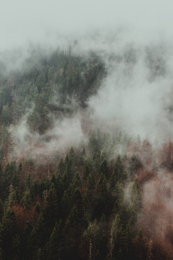 filip-zrnzevic-6f579sNrEHQ-unsplash-scaled-e1586435171580.jpg